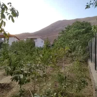 زمین در روستای برگ جهان لواسان|فروش زمین و ملک کلنگی|لواسان, |دیوار