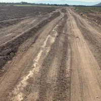 زمین کشاورزی جهت باغ و باغچه