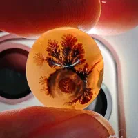 سنگ شجر قائنات