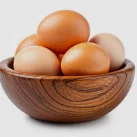 تخم دورگه لاری