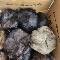 کلاه عمده|خدمات پیشه و مهارت|شیراز, بازار|دیوار