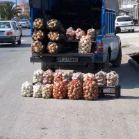 سیب زمینی اردبیل