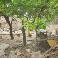 زمین-جهت-ساخت-منزل