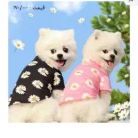 پروانه تاسیس کلینیک دامپزشکی