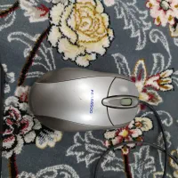 2عدد موس و1 کیبورد|قطعات و لوازم جانبی رایانه|کرمانشاه, |دیوار