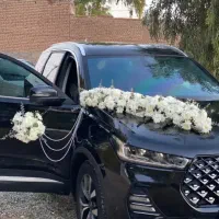 تشریفات عروسی