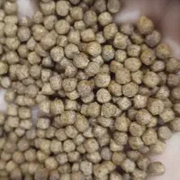 میکس دل و غذا بیومار ماهی گوشت خوار و گیاهخوارکوی|ماهی|مشهد, بلال|دیوار