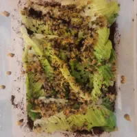 حلزون آچاتینا|خزنده|تهران, زرکش|دیوار