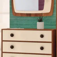 دراور آینه وستا (ملامینه)