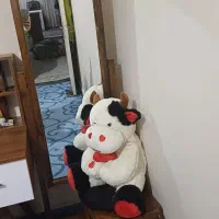 اینه قدی با صندلی و عروسکش