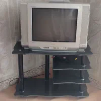 تلوزیون
