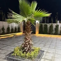 اجاره روزانه ویلا ساعتی ماهانه سالانه