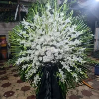 تاج گل ترحیم|خدمات پذیرایی، مراسم|شیراز, باغ تخت|دیوار