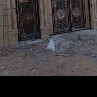 پیمان کاری ساختمان