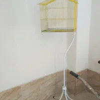 قفس با پایه