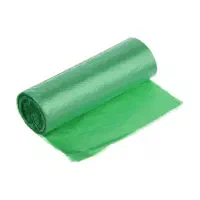 حضوری استانه اشرفیه