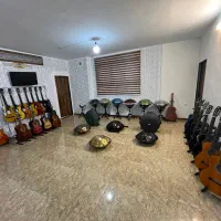 هنگدرام باآموزش ویولن ارگ گیتار سنتوردف پیانو بلز