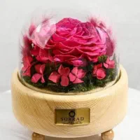 تولید تابلوی گل و گوی گل جاودان حتی با گل خشک شده|گل و گیاه طبیعی|پاکدشت, خاتون آباد|دیوار