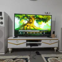 تلویزیون 49اسنوا