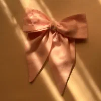 گیره سر پاپییونی