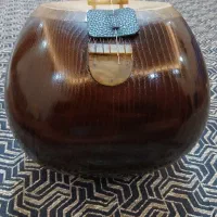 تار حرفه ای سی ساله استاد جهانشیر بدیعی