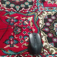 موس کامپیوتر|قطعات و لوازم جانبی رایانه|کاشمر, |دیوار