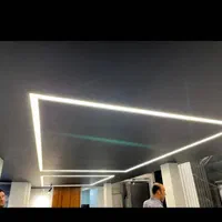 اجرای لاینر های نوری صفر تا صد قیمت جشنواره|لامپ و چراغ|قم, آذر (نکویی)|دیوار