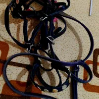 دهنه و کله گیر،عرق گیر ،سینه بند|اسب و تجهیزات اسبسواری|بوشهر, |دیوار