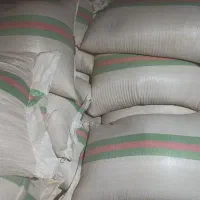 سبوس گندم. قاطی