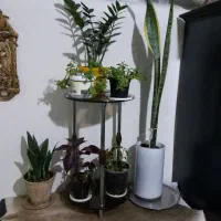 پایه گلدون و گل همه باهم