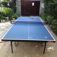 میز پینگ پنگ چرخ دار حرفه ای|ورزش‌های توپی|تهران, منیریه|دیوار