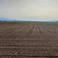 سلام ۳هکتار زمین  آبی در دربند اجاره داده می‌شود