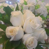 گل آرایی|گل و گیاه طبیعی|پاکدشت, پاکدشت (مامازند)|دیوار