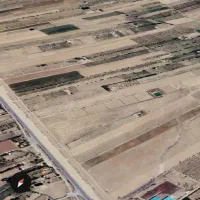 زمین گلخانه ای سند تک برگ