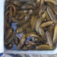 خوردن و اشامیدن|خوردنی و آشامیدنی|تهران, دانشگاه شریف|دیوار