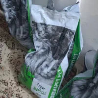 غذای خشک گربه