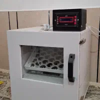 فروش دستگاه جوجه کشی ۴۲ تمام اتومات|لوازم جانبی حیوانات|داراب, |دیوار