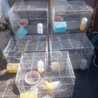 جفتگاه وقفس|لوازم جانبی حیوانات|مشهد, انصار|دیوار