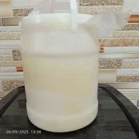 روغن حیوانی