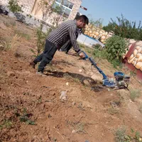 باغبانی تیلرزنی  هرس کاری در هرمناط