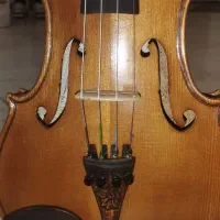 ویولن حرفه ای دستسازنو|ویولن|شیراز, شهرک قمشه|دیوار