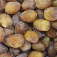 رطب جنوب|خوردنی و آشامیدنی|تهران, ترمینال جنوب|دیوار