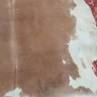 پوست گاو|صنایع دستی و سایر لوازم تزئینی|تهران, ارامنه|دیوار