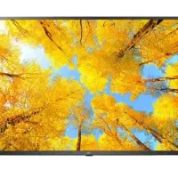 تلوزیون الجی