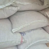 بذر گندم کبیر یا قابوس