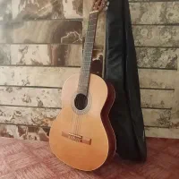 گیتار کارکرده به همراه کاور