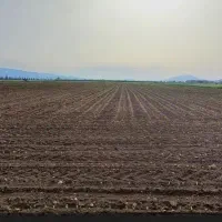 زمین مسکونی