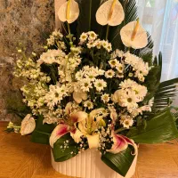 سبد گل طبیعی تازه