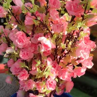 تولید گرینوال و فنس و گل مصنوعی|خدمات باغبانی و درختکاری|کرج, بهشت سکینه|دیوار