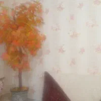 نیازمندی به خانمی جوان جهت نظافت